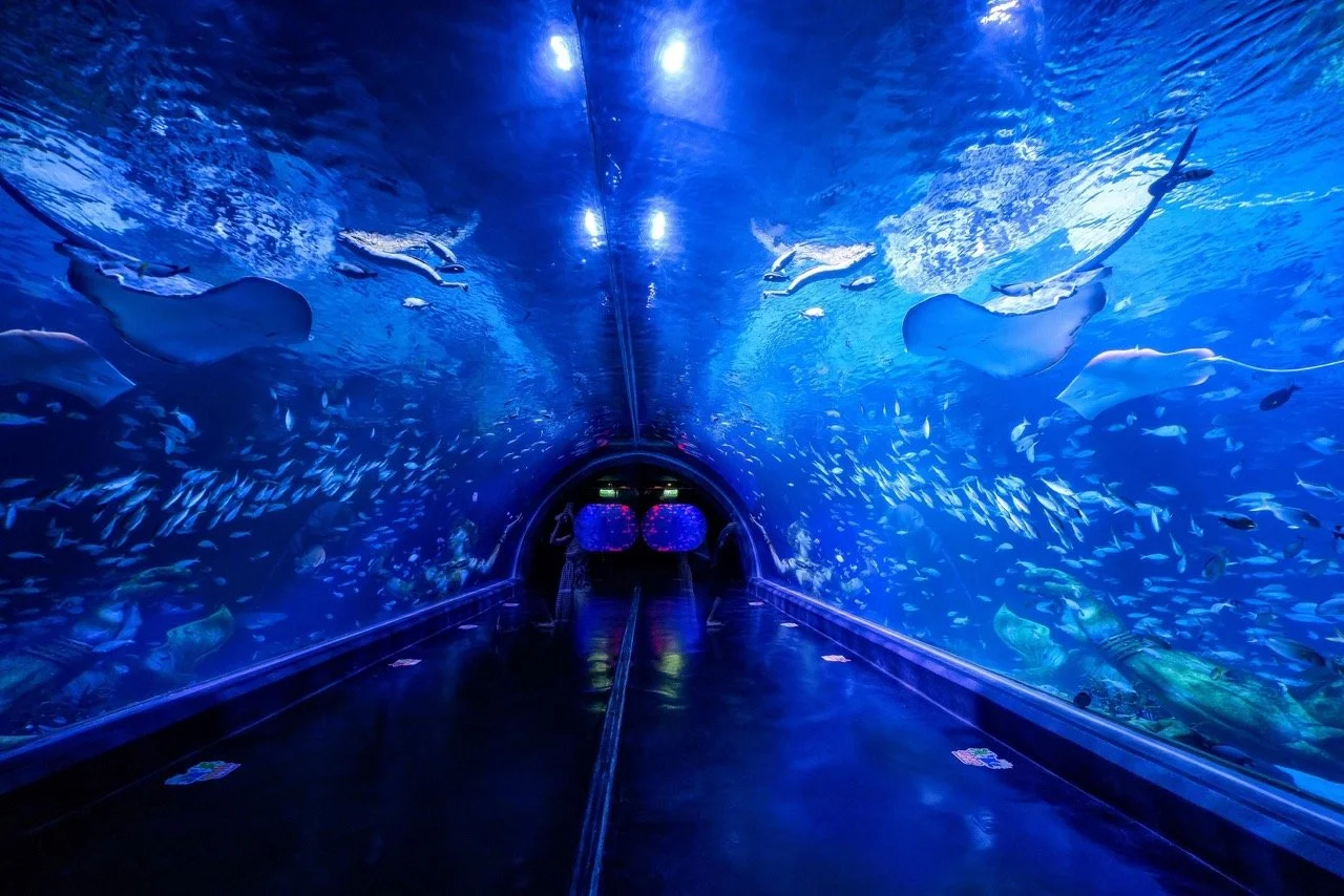 Aquaria 水下隧道